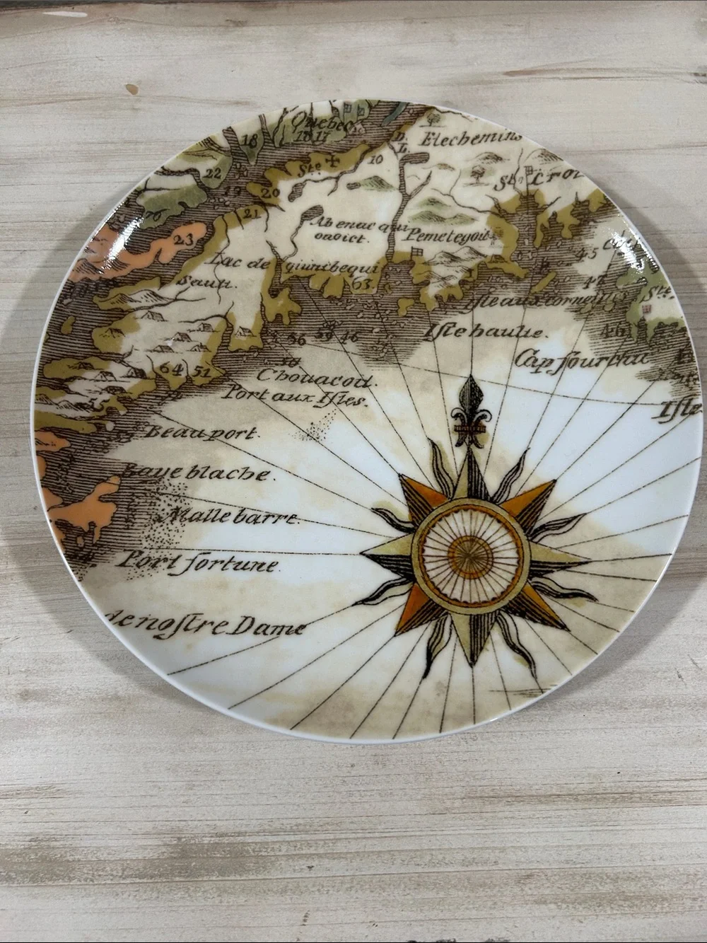Pottery Barn-Coastal Curiosity Plate- Fall Colors/Compass Rose
